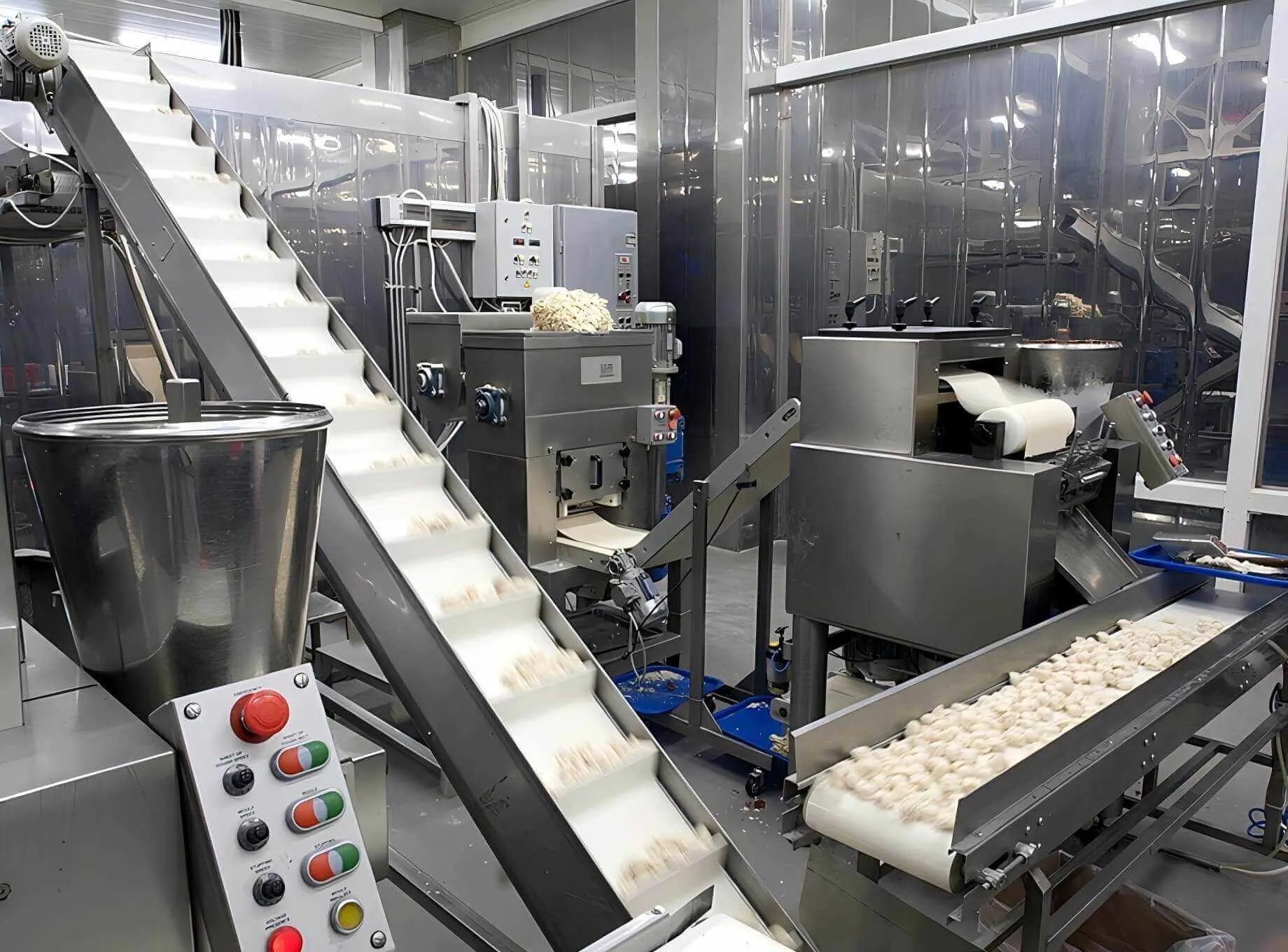 อนุภาคอาหารและยา